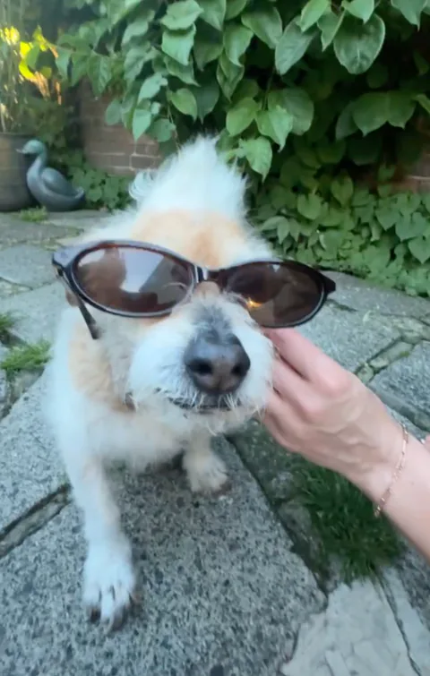 Winston wearing sunglasses